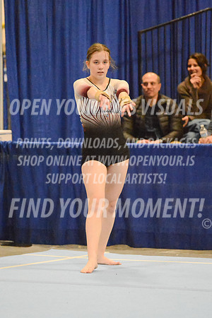 2025-RealmClassic-Saturday-Session8-Gold_Adult-Floor-Olympic-JJ-0036