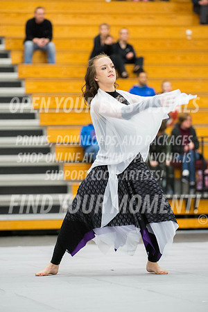 2017-Skyview-Sherwood-NS-8