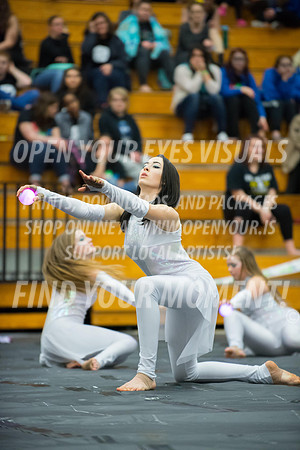 2017-Skyview-Evergreen-NS-4