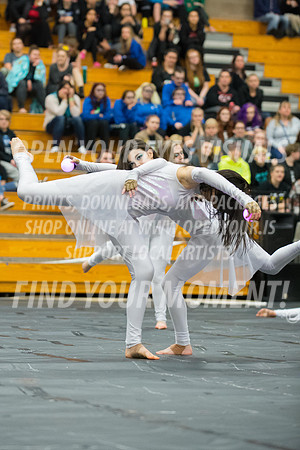 2017-Skyview-Evergreen-NS-9