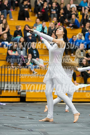 2017-Skyview-Evergreen-NS-10