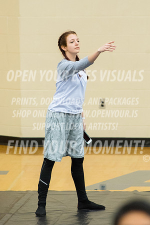 2017-WGI-Liberty-SkyviewHS-RR-15