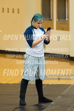 2017-WGI-Liberty-SkyviewHS-RR-16