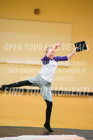 2017-WGI-Liberty-SkyviewHS-RR-104