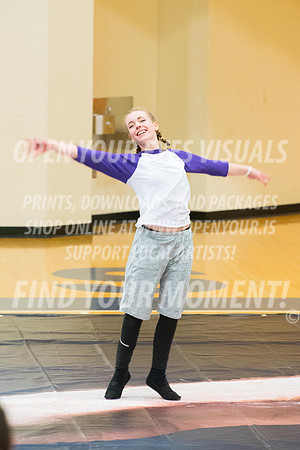 2017-WGI-Liberty-SkyviewHS-RR-139