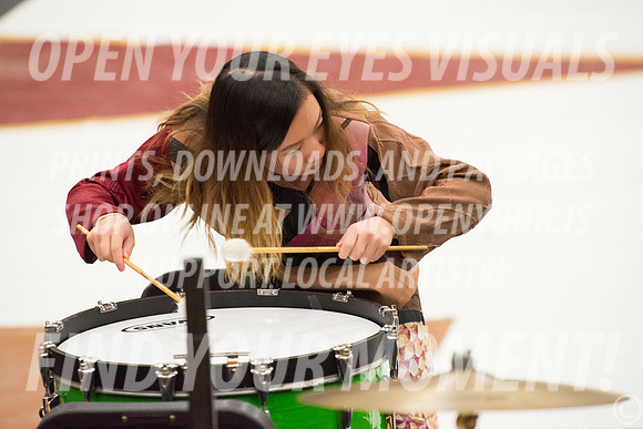 2017-WGI-Liberty-TigardHS-RR-49
