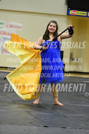 2017-Liberty-ExhibitionHillsboroMinis-R2-009