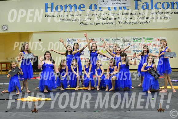 2017-Liberty-ExhibitionHillsboroMinis-R2-050