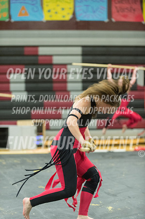 2015-Glencoe-SouthridgeDanceAndGuardEnsemble-8