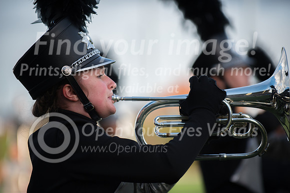 2016-LMAC- Kamiak Show Band-39