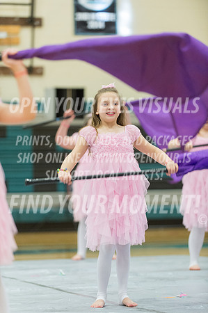 2015-BonneyLake-HillsboroMinis-47
