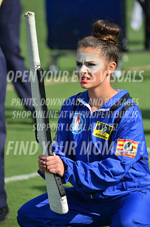 2019-PNMBC-MeadHS-R1-116