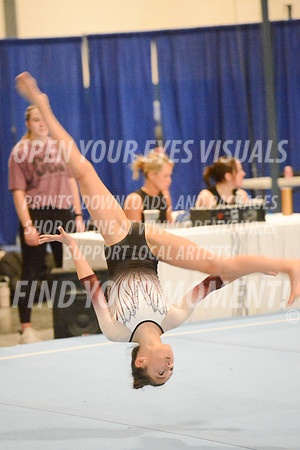 2025-RealmClassic-Saturday-Session8-Gold_Adult-Floor-Olympic-JJ-0014A