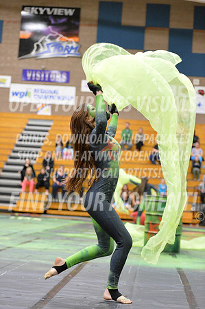 2018-WGISkyview-EvergreenSA-A-066
