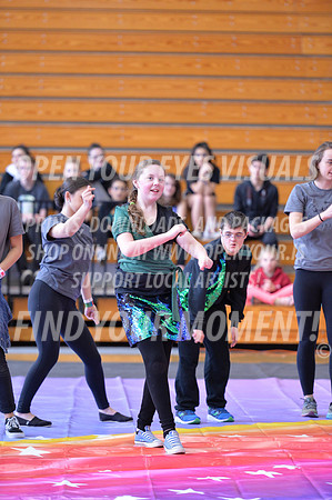 2018-WGISkyview-BeavertonStars-A-059