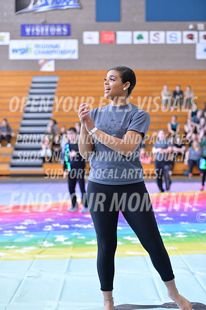 2018-WGISkyview-BeavertonStars-A-080
