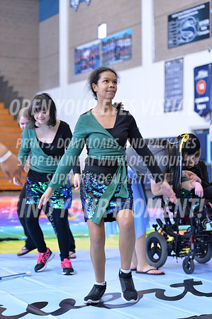 2018-WGISkyview-BeavertonStars-A-095