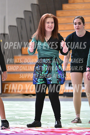 2018-WGISkyview-BeavertonStars-A-007