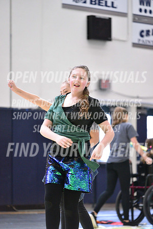 2018-WGISkyview-BeavertonStars-A-025