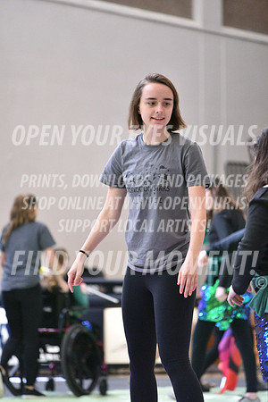2018-WGISkyview-BeavertonStars-A-026