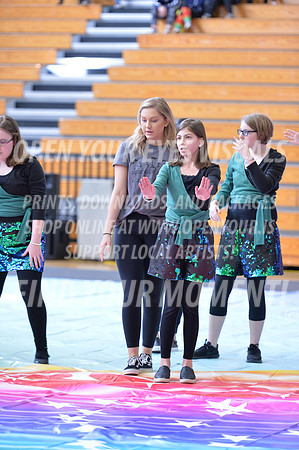2018-WGISkyview-BeavertonStars-A-065