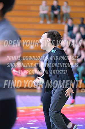 2018-WGISkyview-BeavertonStars-A-078