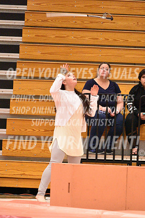 2018-WGISkyview-KamiakSA-A-070