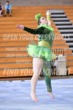 2018-WGISkyview-MeadSRA-A-026