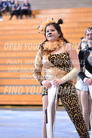 2018-WGISkyview-MeadSRA-A-060