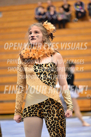 2018-WGISkyview-MeadSRA-A-083