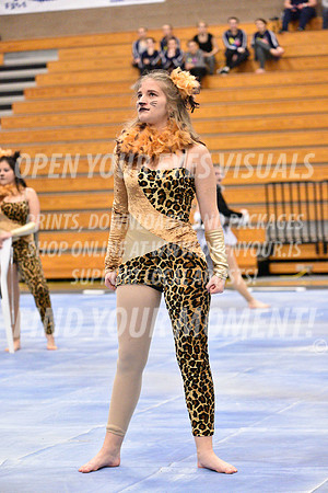 2018-WGISkyview-MeadSRA-A-084