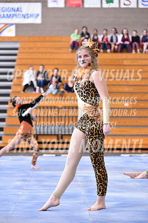 2018-WGISkyview-MeadSRA-A-004