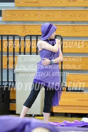 2018-WGISkyview-NorthThurstonSA-A-001