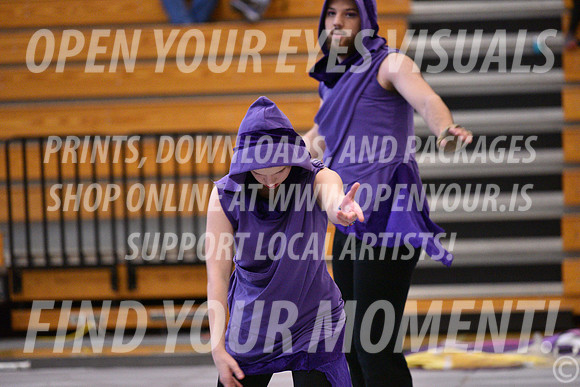 2018-WGISkyview-NorthThurstonSA-A-010