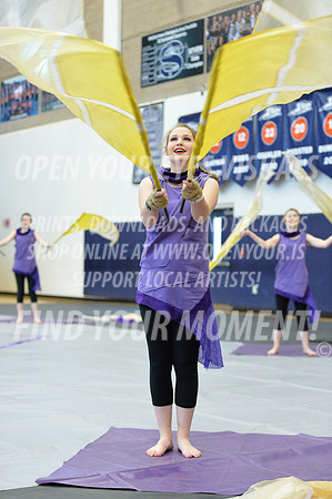 2018-WGISkyview-NorthThurstonSA-A-031