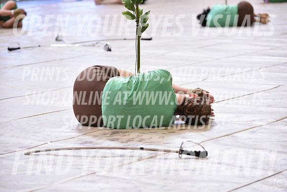 2018-WGISkyview-RhapsodyIA-A-001