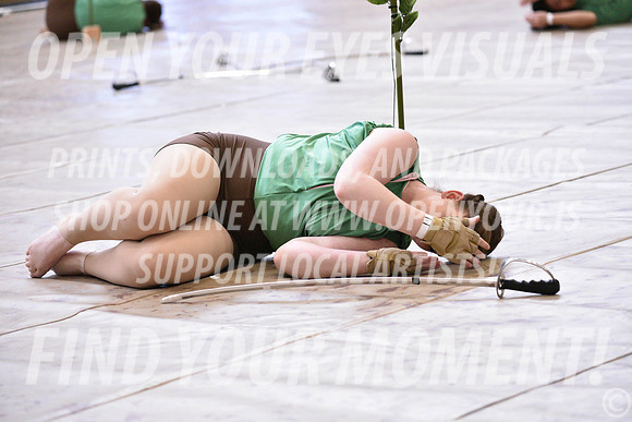 2018-WGISkyview-RhapsodyIA-A-004