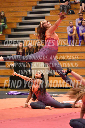 2018-WGISkyview-TigardSA-A-062