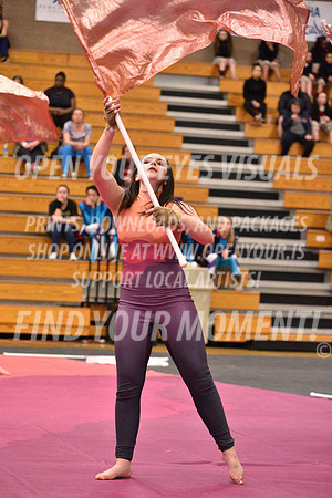 2018-WGISkyview-TigardSA-A-100
