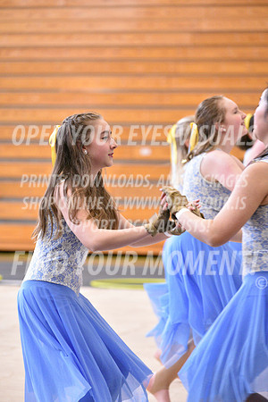 2018-WGISkyview-SouthridgeSRA-A-010