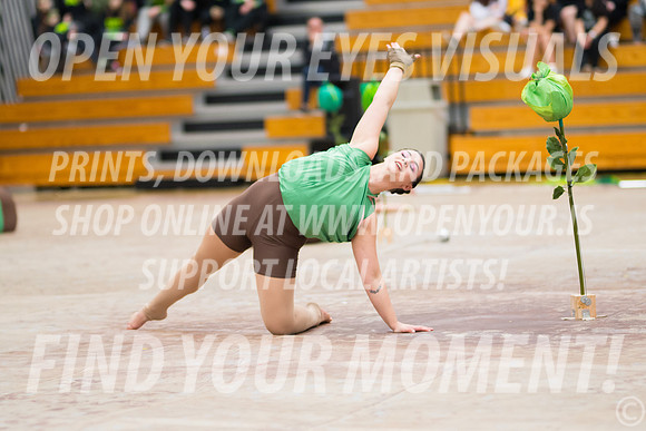 2018-WGISkyview-Rhapsody-RR-003