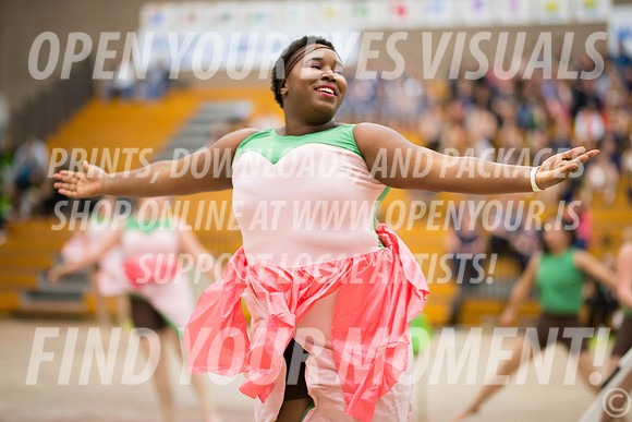 2018-WGISkyview-Rhapsody-RR-033