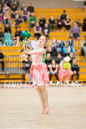 2018-WGISkyview-Rhapsody-RR-077