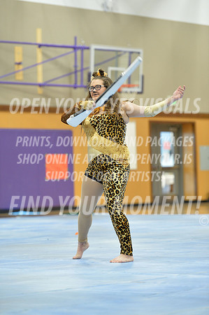 2018-NorthThurston-MeadSRA-R2-JK-034
