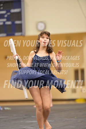 2018-LibertyNWAPA-HillsboroMinisExhibition-049