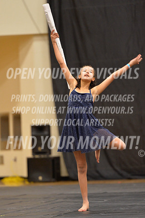 2018-LibertyNWAPA-HillsboroMinisExhibition-052