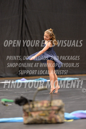 2018-LibertyNWAPA-HillsboroMinisExhibition-055