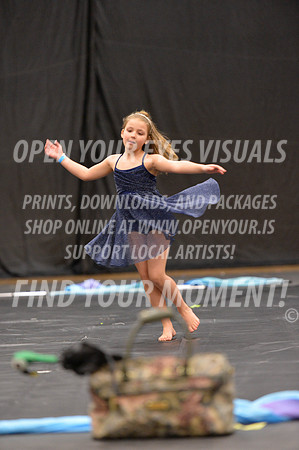 2018-LibertyNWAPA-HillsboroMinisExhibition-056