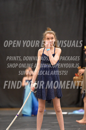 2018-LibertyNWAPA-HillsboroMinisExhibition-066