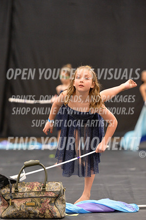 2018-LibertyNWAPA-HillsboroMinisExhibition-067